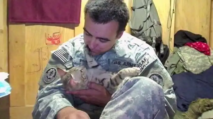 Американский солдат остался в долгу перед котом