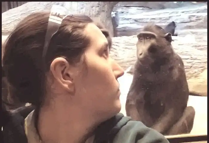 Обезьяна троллит посетителей