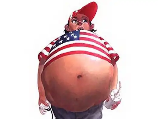 Толстая Америка