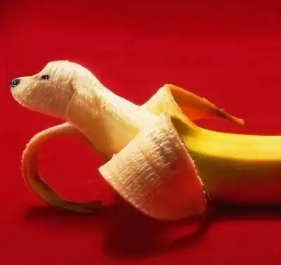 личинистый кусает бананчик