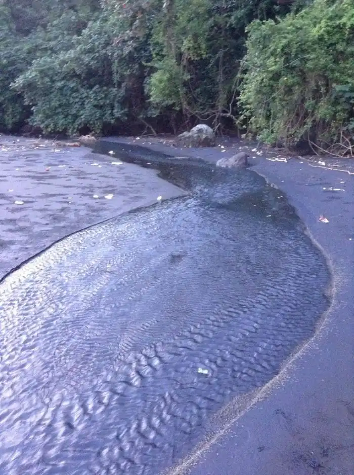 Живая река в Индонезии