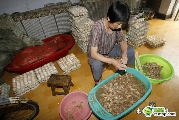 Подпольная китайская фабрика тухлых яиц