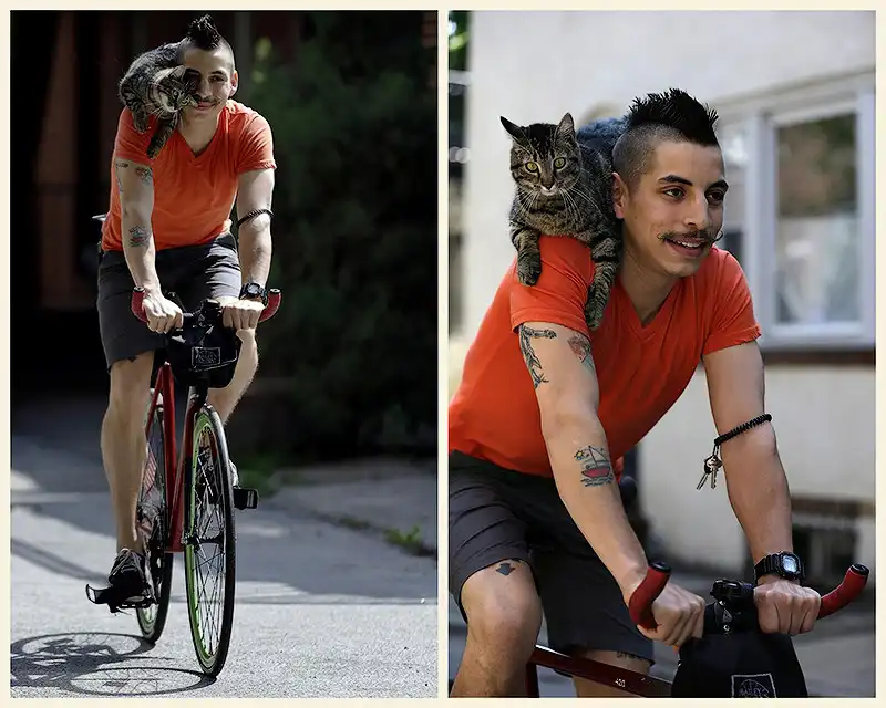 Велосипедист и его кошка(позитивный пост)