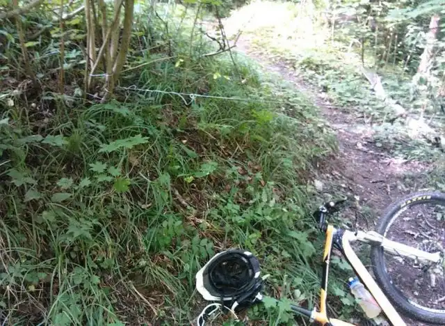 "Ловушка" для велосипедистов в лесу