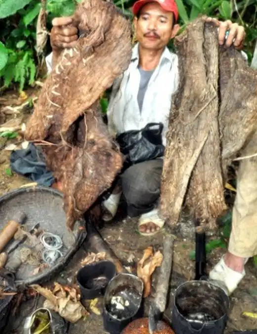 В джунглях обнаружили современного "Маугли" и его сына