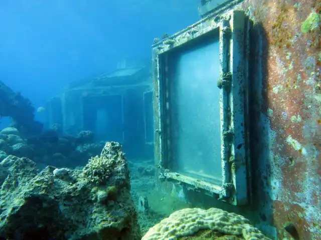 Подводный стриптиз-клуб