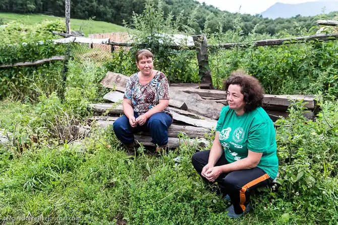 Путешествие по кордонам Телецкого озера на Алтае