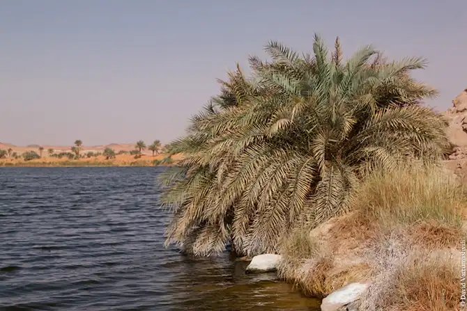 Оазисы в бесконечном море песков Африки