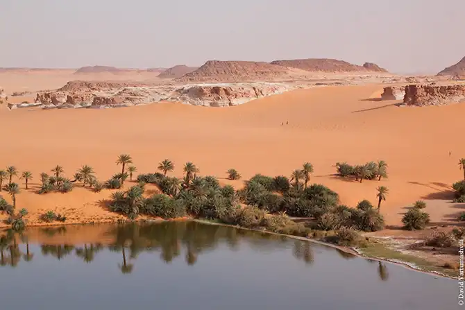 Оазисы в бесконечном море песков Африки