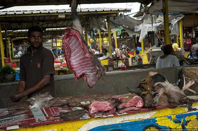 Путешествие по Киншаса в Республике Конго