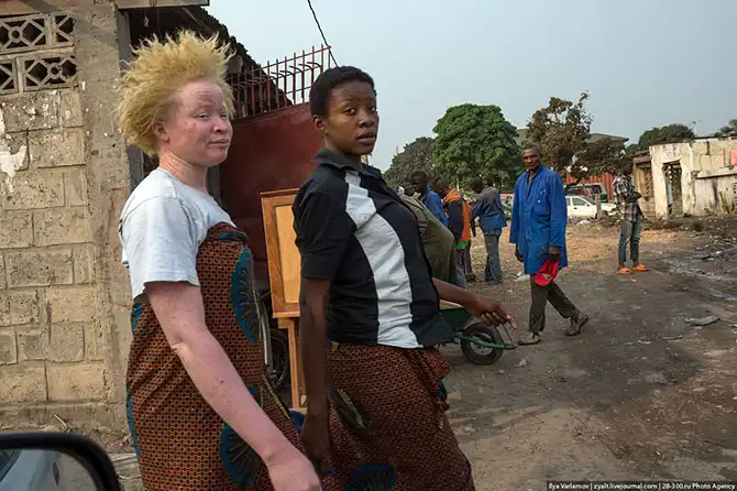 Путешествие по Киншаса в Республике Конго