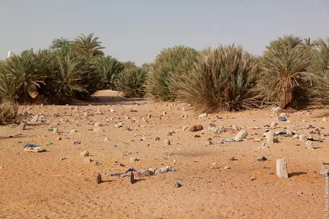 Долгая дорога домой