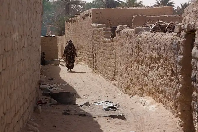 Долгая дорога домой