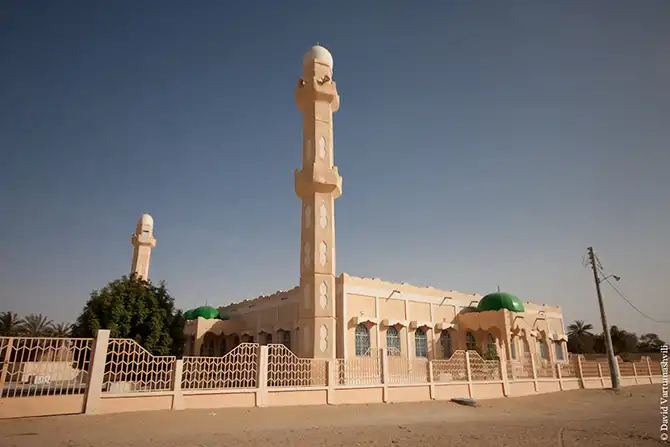 Долгая дорога домой