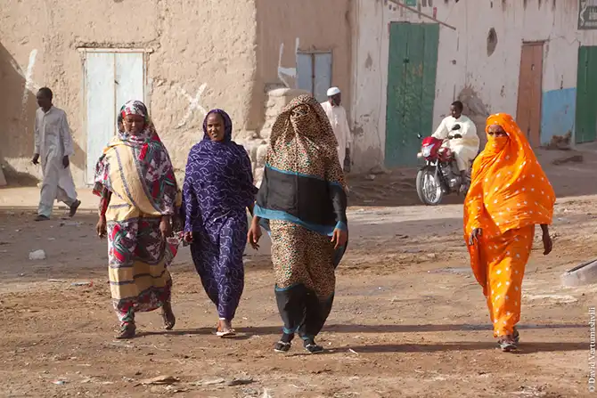 Долгая дорога домой