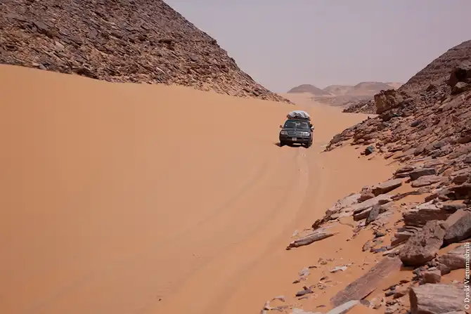 Долгая дорога домой