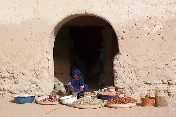 Долгая дорога домой