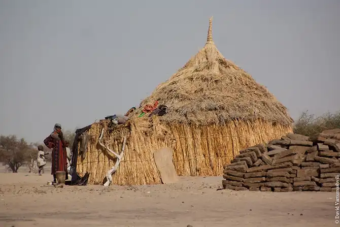 Долгая дорога домой