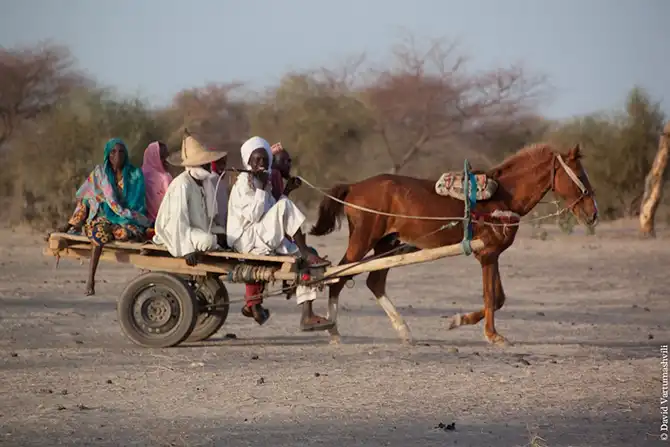 Долгая дорога домой