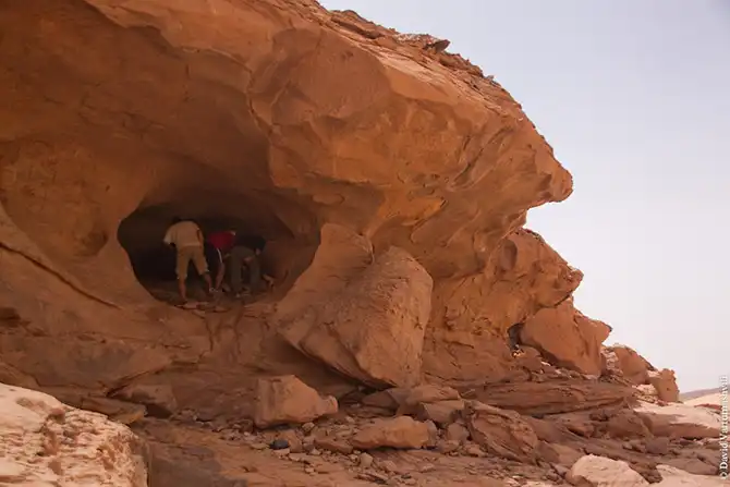 Долгая дорога домой