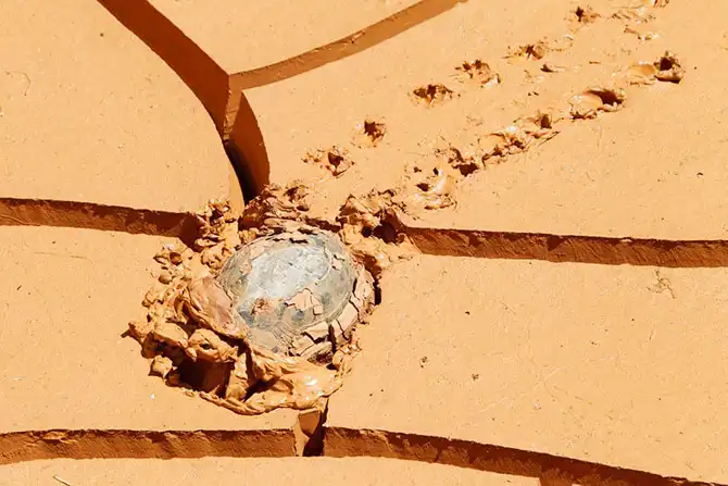 Животные большие, животные маленькие