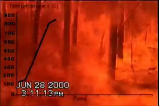 Лесной пожар, заснятый на камеру