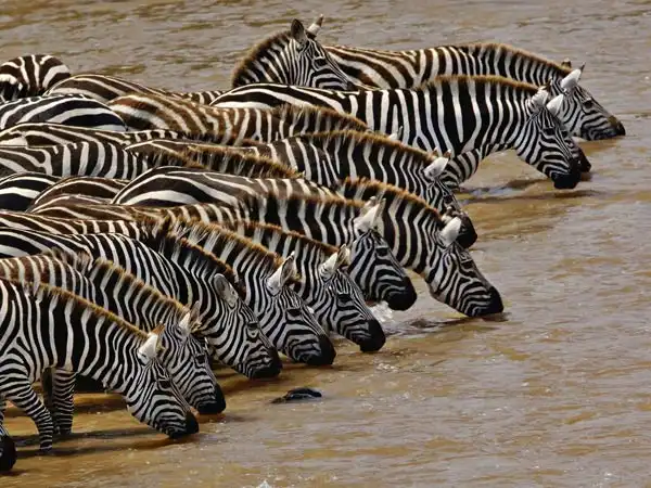 Соляночка =З