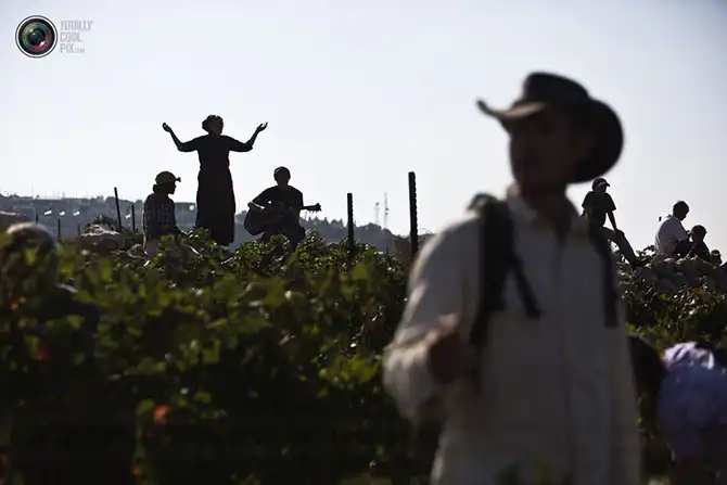 Неделя в фотографиях