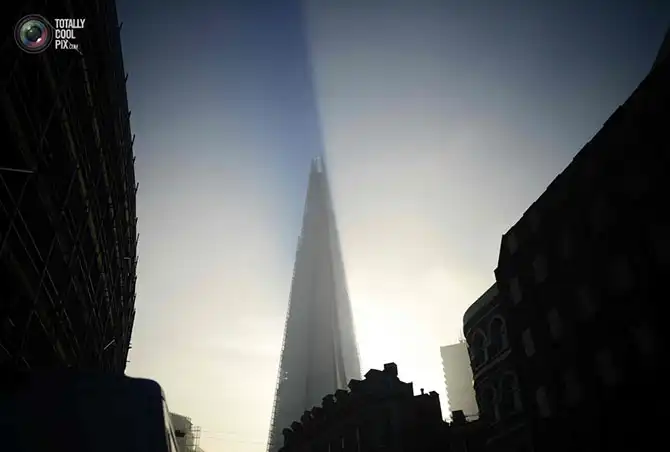 Неделя в фотографиях