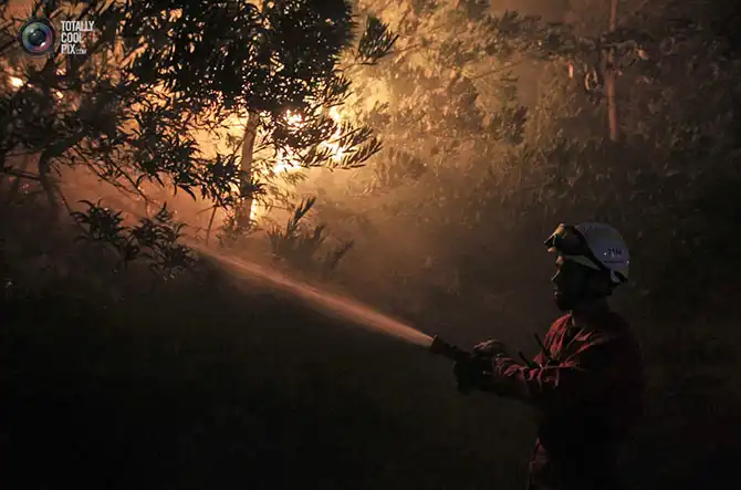 Неделя в фотографиях