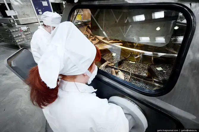 Промышленность Новосибирска