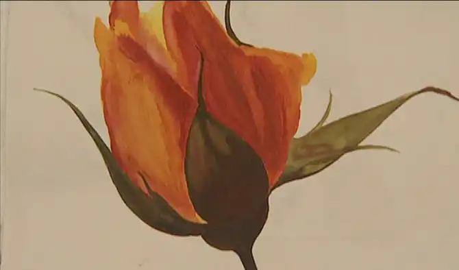 Картины знаменитых НЕхудожников