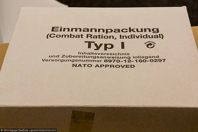 Бундесвер или вооруженные силы Германии