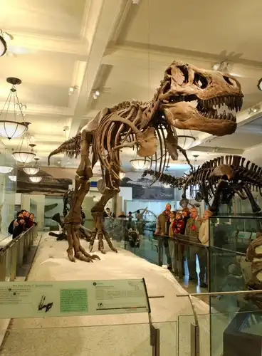 14 минусов Нью-Йорка и 5 вещей, ради которых эти минусы можно стерпеть