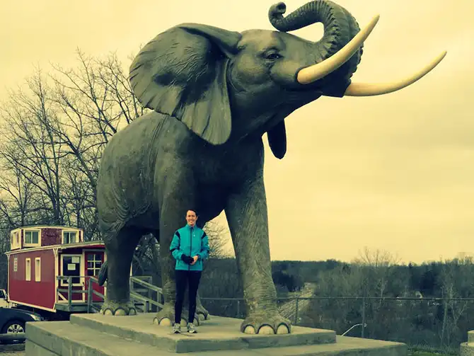 10 самых известных животных в истории и чем они знамениты