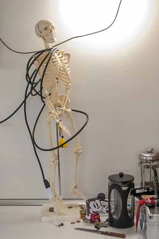 Необычный офис: большая коммуналка