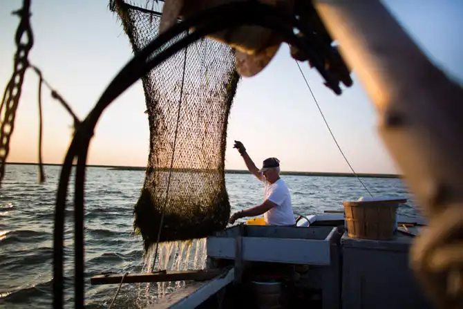 Последний населённый остров штата Мэриленд