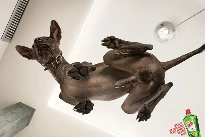 Принты оптом