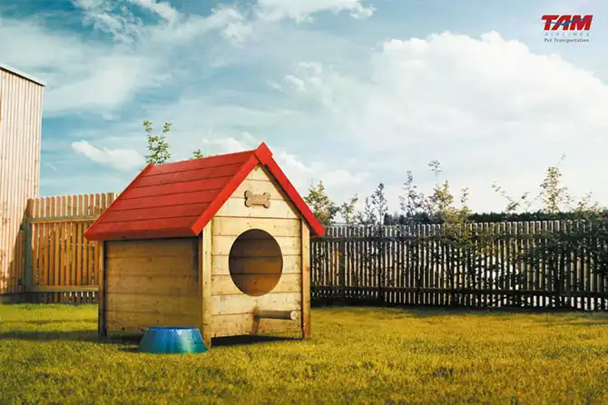 Принты оптом