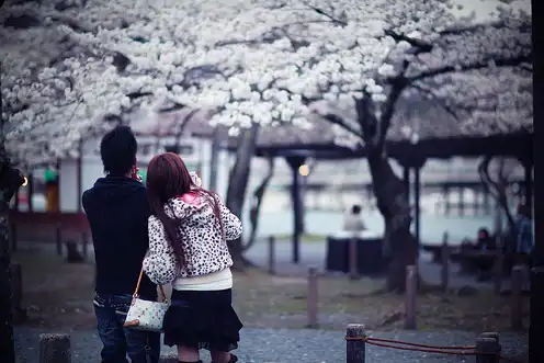 5 способов для иностранных девушек привлечь японских парней