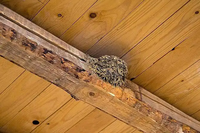 Прогулка по Сицилии