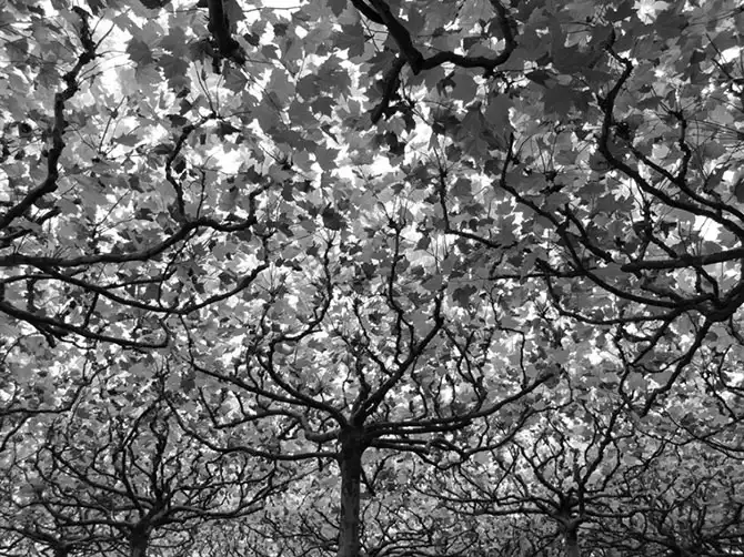 Лучшие фотографии National Geographic декабря 2013 года