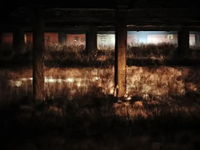 Лучшие фотографии National Geographic декабря 2013 года