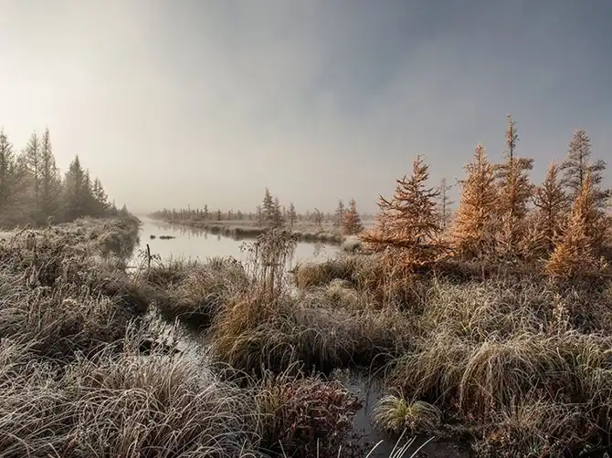 Лучшие фотографии National Geographic декабря 2013 года