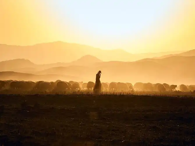 Лучшие фотографии National Geographic декабря 2013 года