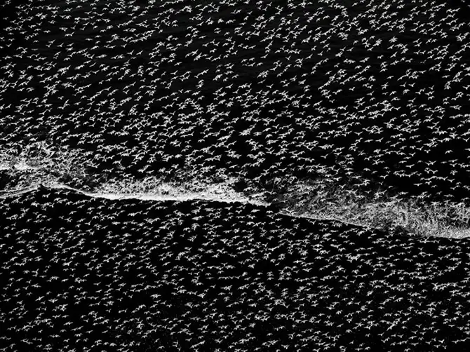 Лучшие фотографии National Geographic декабря 2013 года