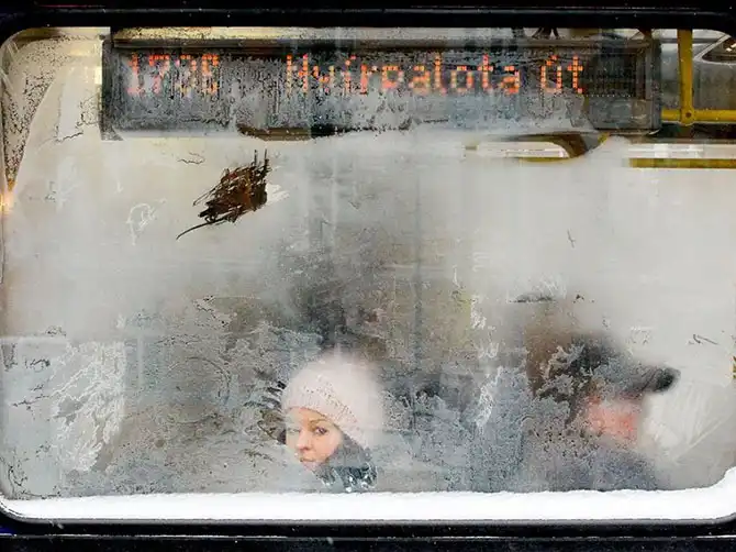 Лучшие фотографии National Geographic декабря 2013 года