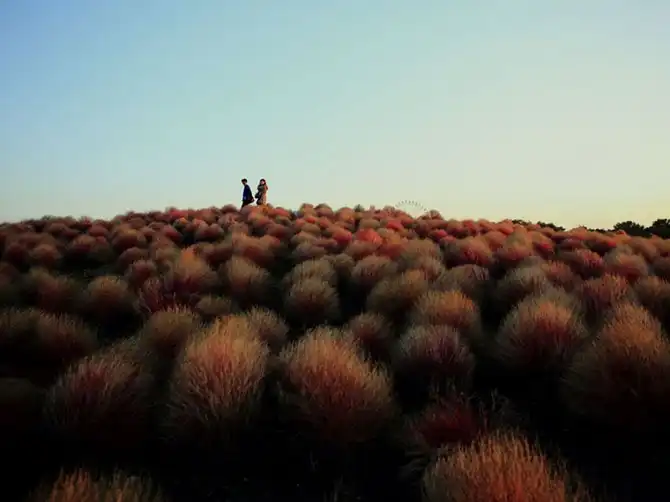 Лучшие фотографии National Geographic декабря 2013 года