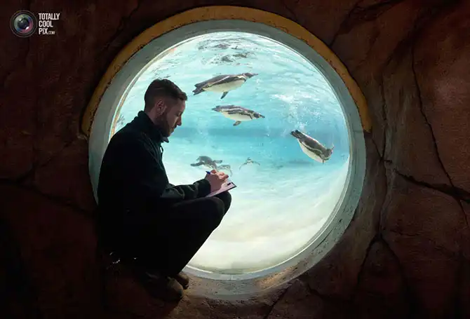 Неделя в фотографиях