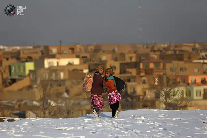 Неделя в фотографиях